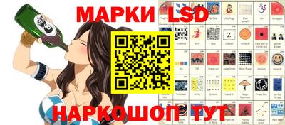 индика Партизанск