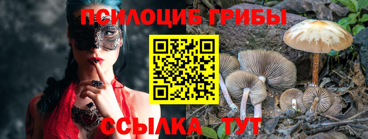 Галлюциногенные грибы прущие грибы  Галлюциногенные грибы MAGIC MUSHROOMS  Семёнов  Вход с VPN 